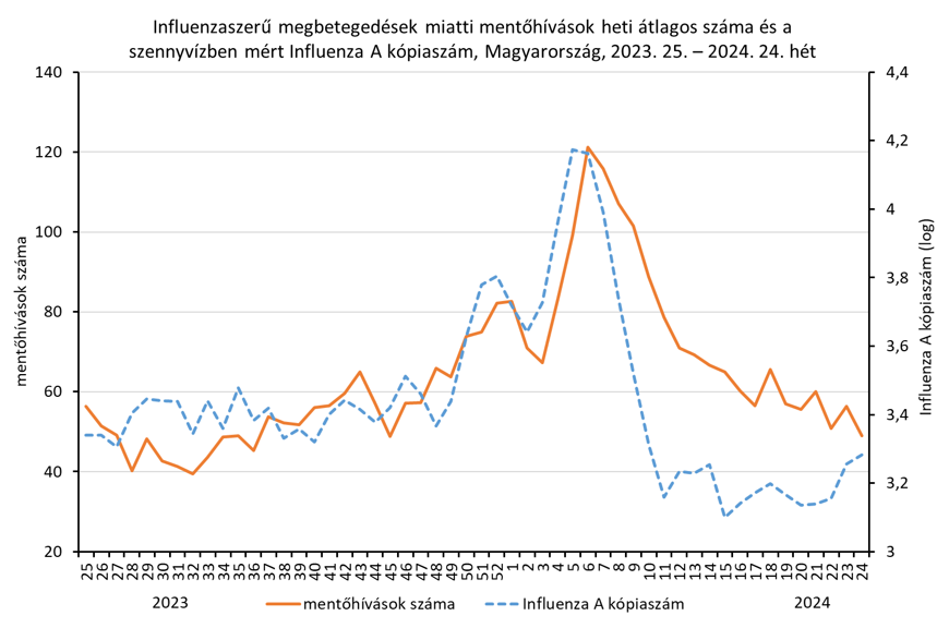 integralt leguti 2024 24 1