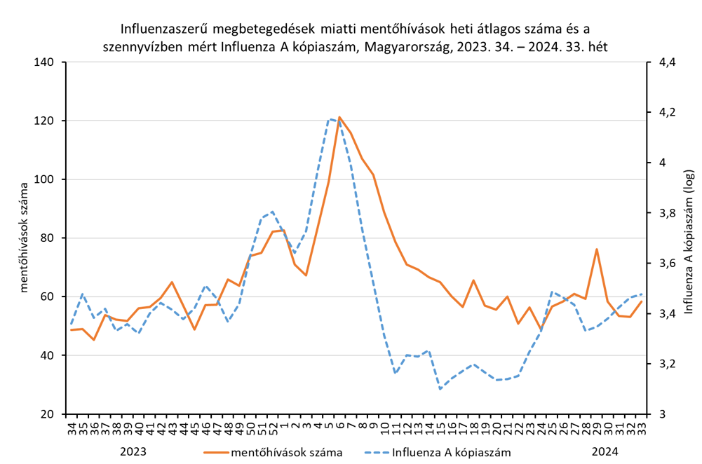 integralt leguti 2024 33 2