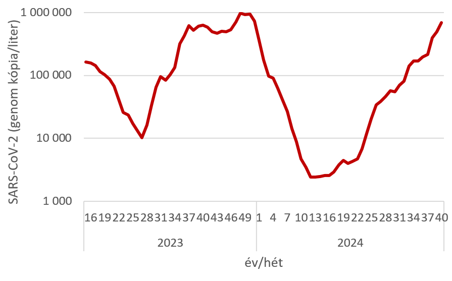 integralt leguti 2024 40 1