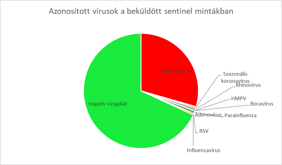 integralt leguti 2024 41 1