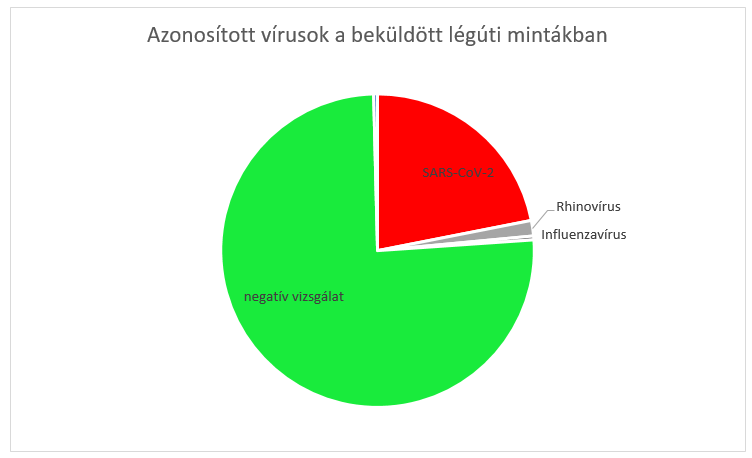 integralt leguti 2024 43 1