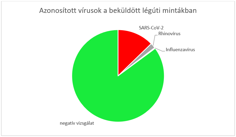 integralt leguti 2024 45 1