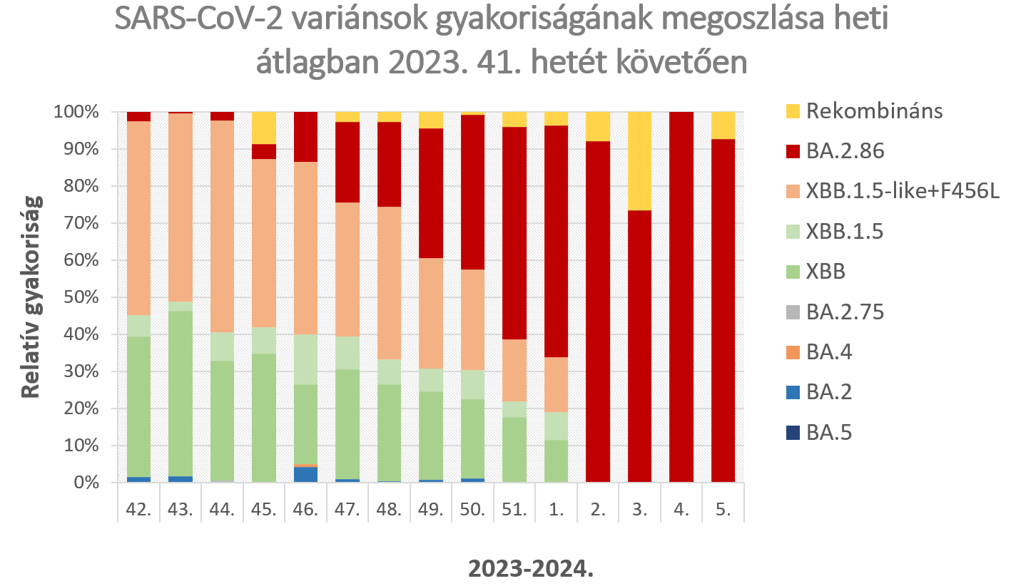 leguti 2024 07 2