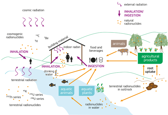 sugarterheles forrasai